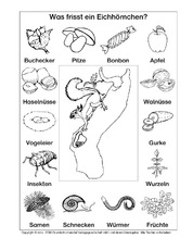 AB-Eichhörnchen-Nahrung-SW.pdf